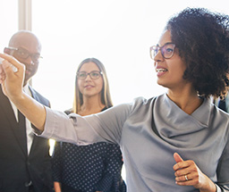 Block 256x215 idenitying bias